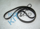 ������ ���������